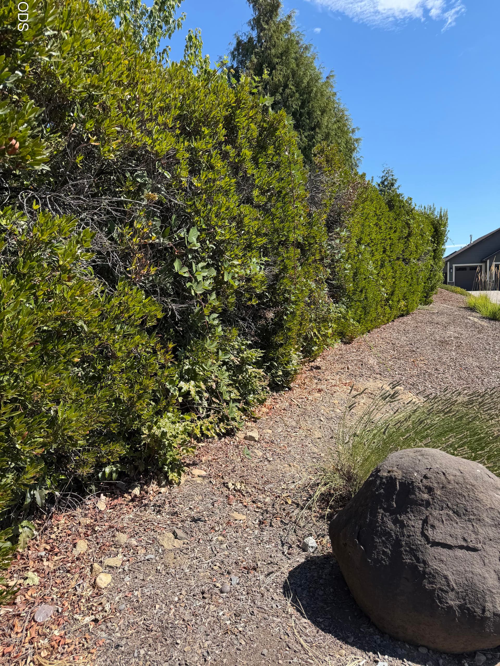 land. Photo 1 of 1, E Rachel Way, Medford, OR 97501