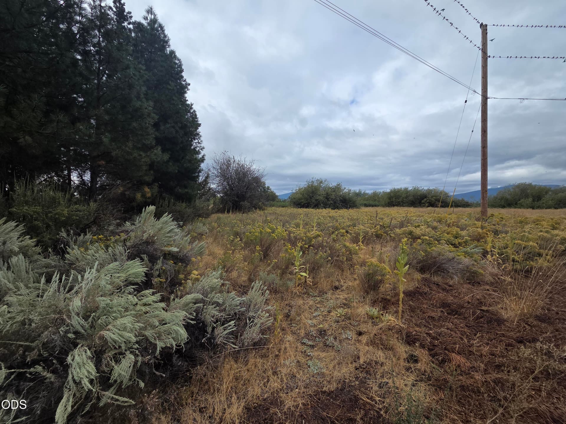 Lot. Photo 2 of 6, 0 Maidu Drive Unit Lot 33, Chiloquin, OR 97624