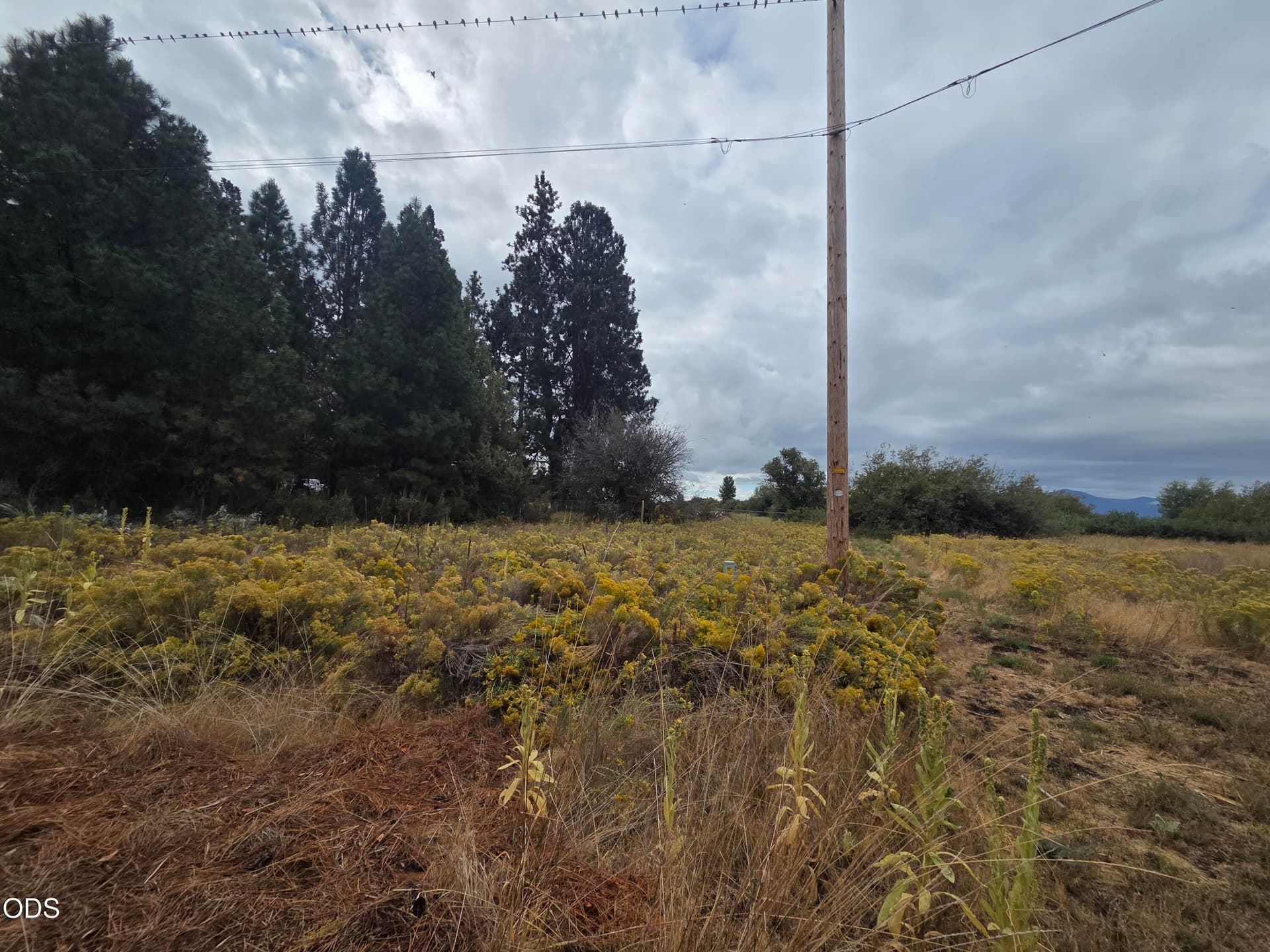 20260904_093406. Photo 3 of 6, 0 Maidu Drive Unit Lot 33, Chiloquin, OR 97624