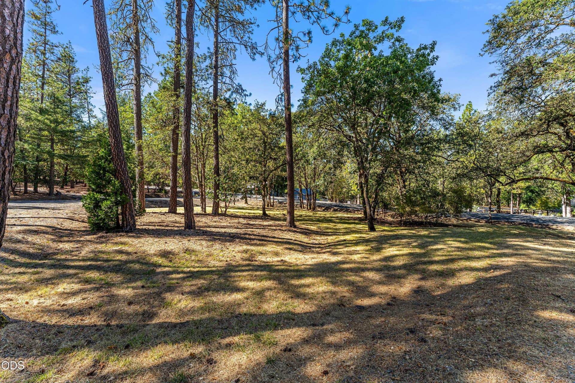 13-EXT (9 of 16). Photo 4 of 38, 387 Carrollwood Drive, Grants Pass, OR 97527