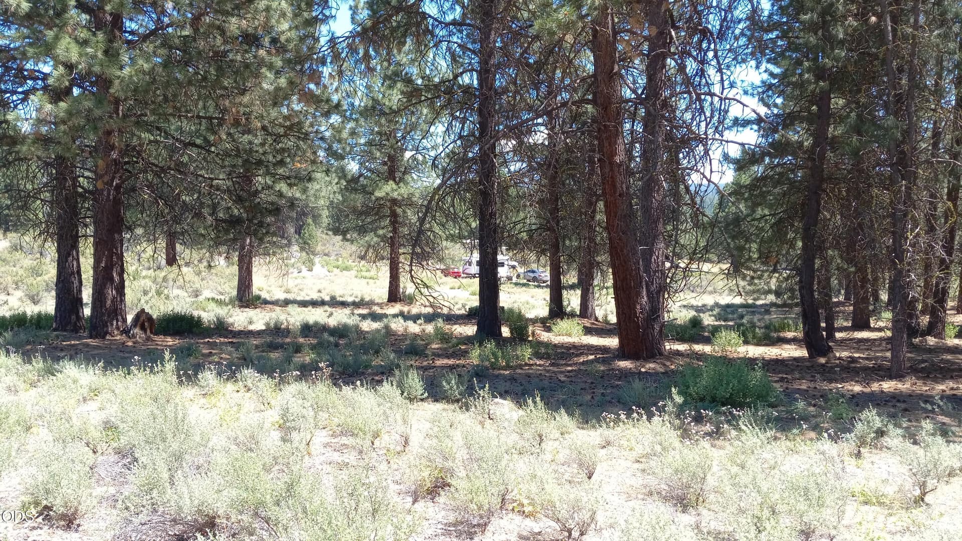 20230713_134544. Photo 3 of 9, 00 Pine Ridge Loop Unit Lot 11, Chiloquin, OR 97624
