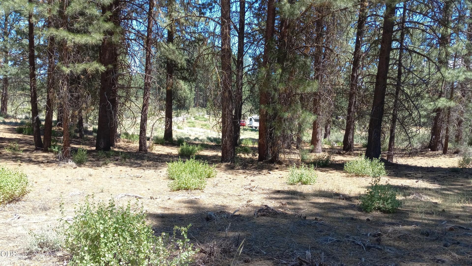 20230713_134646. Photo 4 of 9, 00 Pine Ridge Loop Unit Lot 11, Chiloquin, OR 97624