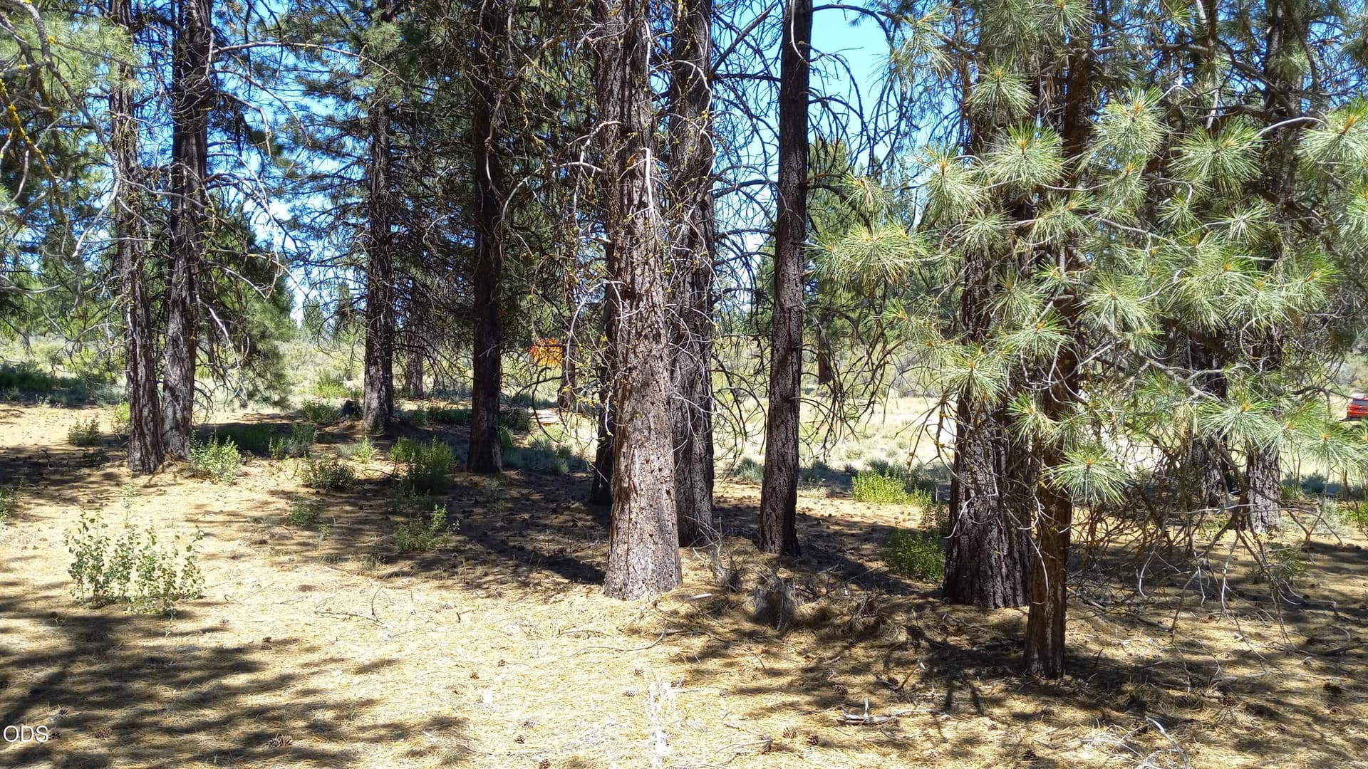20230713_134715. Photo 5 of 9, 00 Pine Ridge Loop Unit Lot 11, Chiloquin, OR 97624