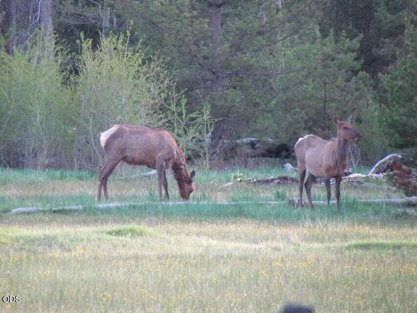 4. Photo 4 of 53, 24850 W Side Road, Klamath Falls, OR 97601