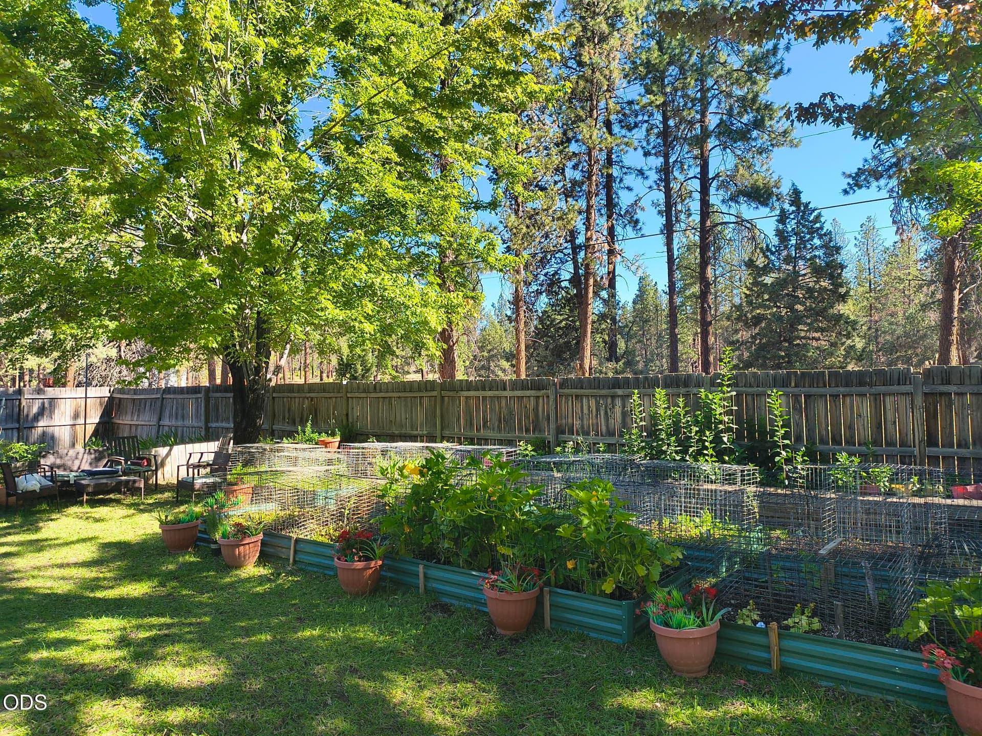 Backyard. Photo 4 of 28, 9045 Ground Squirrel Drive, Bonanza, OR 97623