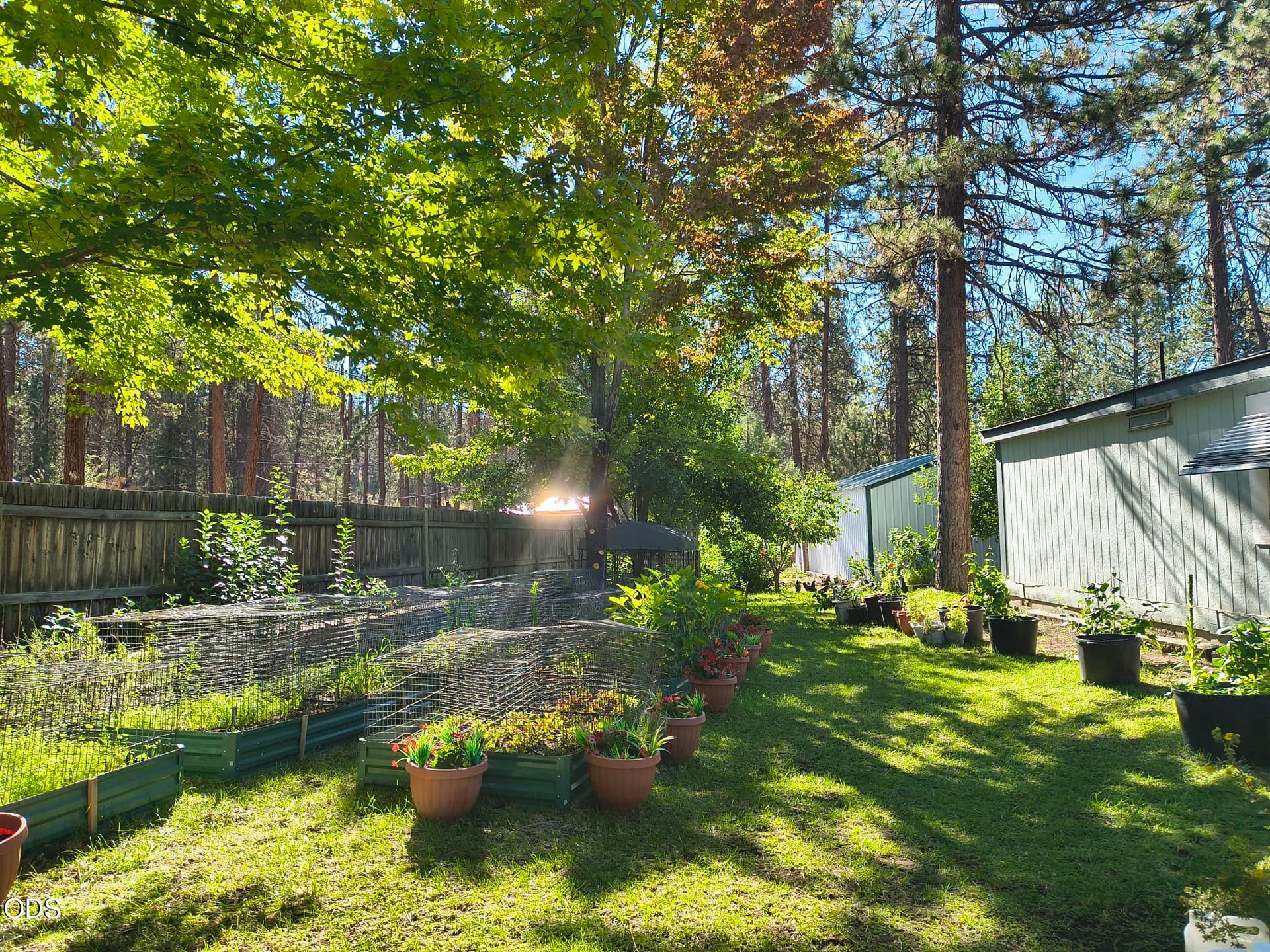 Backyard2. Photo 5 of 28, 9045 Ground Squirrel Drive, Bonanza, OR 97623