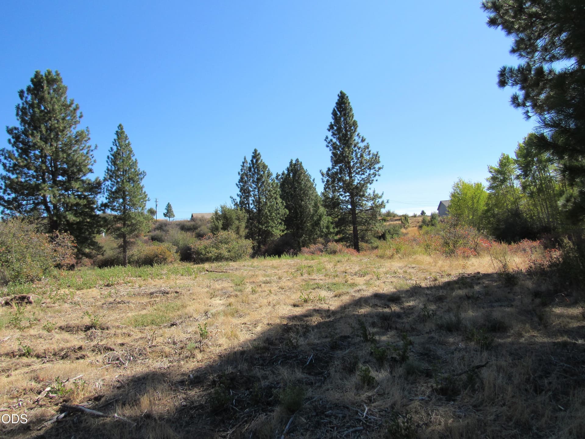 IMG_0025. Photo 1 of 9, 00 Forest View Drive, Chiloquin, OR 97624