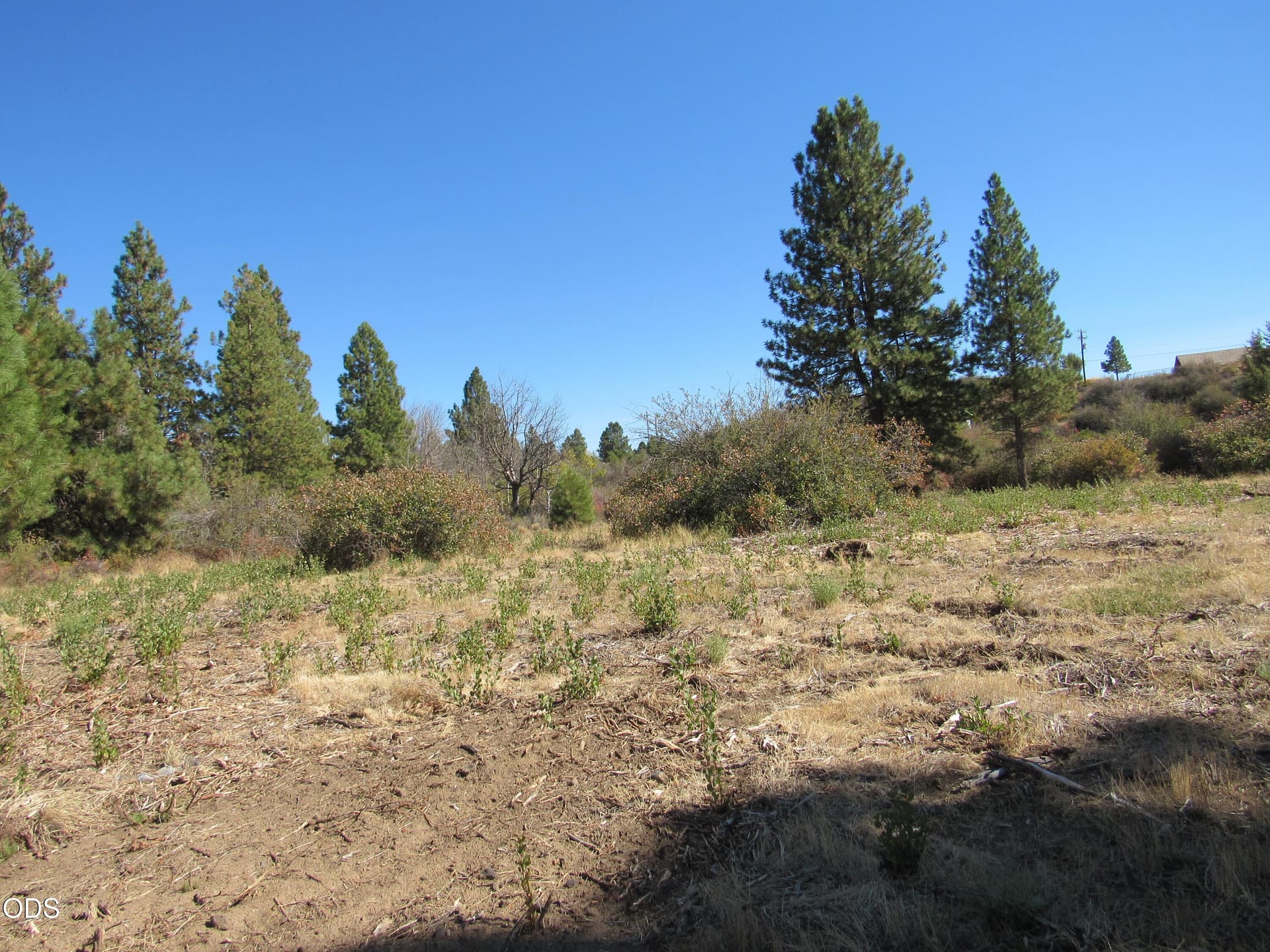 IMG_0026. Photo 2 of 9, 00 Forest View Drive, Chiloquin, OR 97624