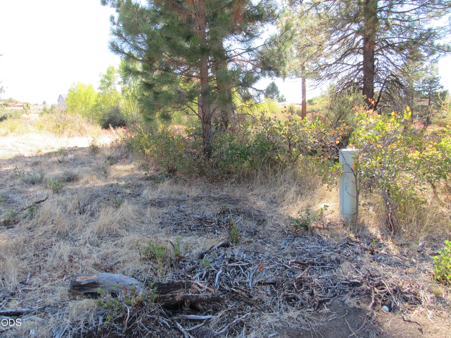 IMG_0027. Photo 3 of 9, 00 Forest View Drive, Chiloquin, OR 97624