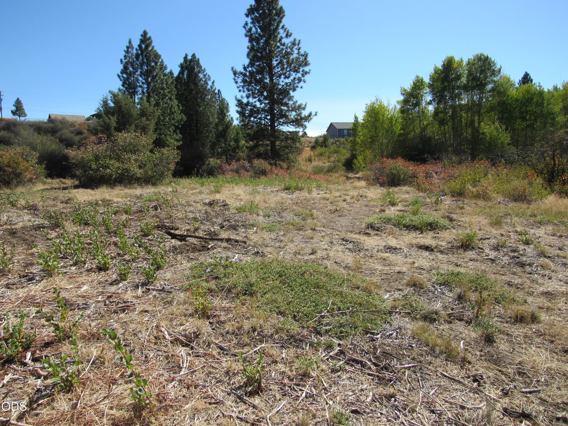 IMG_0028. Photo 4 of 9, 00 Forest View Drive, Chiloquin, OR 97624