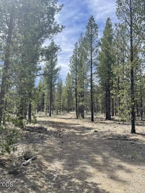 More trees. Photo 2 of 5, 50160 Darlene Way, La Pine, OR 97739