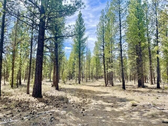 Private sanctuary. Photo 1 of 5, 50160 Darlene Way, La Pine, OR 97739