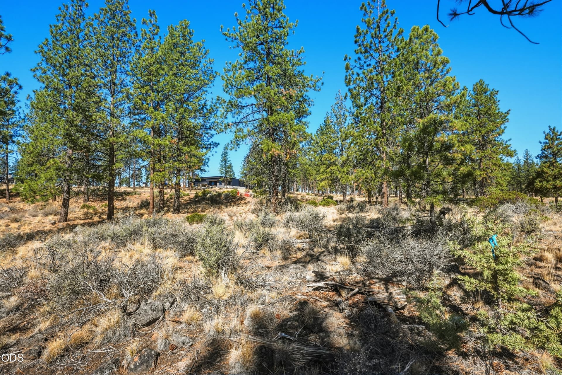 62422 McClain Dr - 4. Photo 5 of 24, 62422 McClain Drive, Bend, OR 97703
