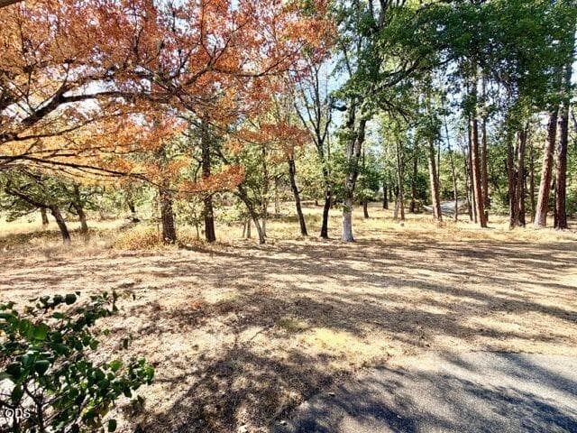 TL-5 ACRES. Photo 5 of 29, 6701 Tunnel Loop Road, Grants Pass, OR 97526