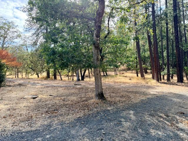 TL-ACREAGE. Photo 2 of 29, 6701 Tunnel Loop Road, Grants Pass, OR 97526