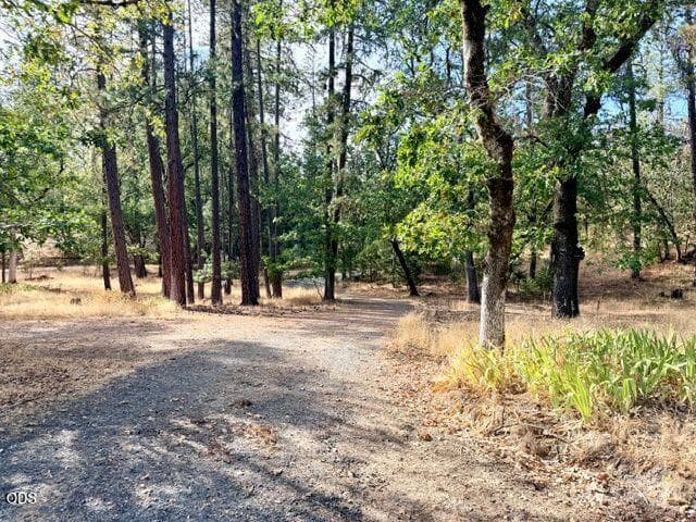 TL-DRIVEWAY. Photo 4 of 29, 6701 Tunnel Loop Road, Grants Pass, OR 97526