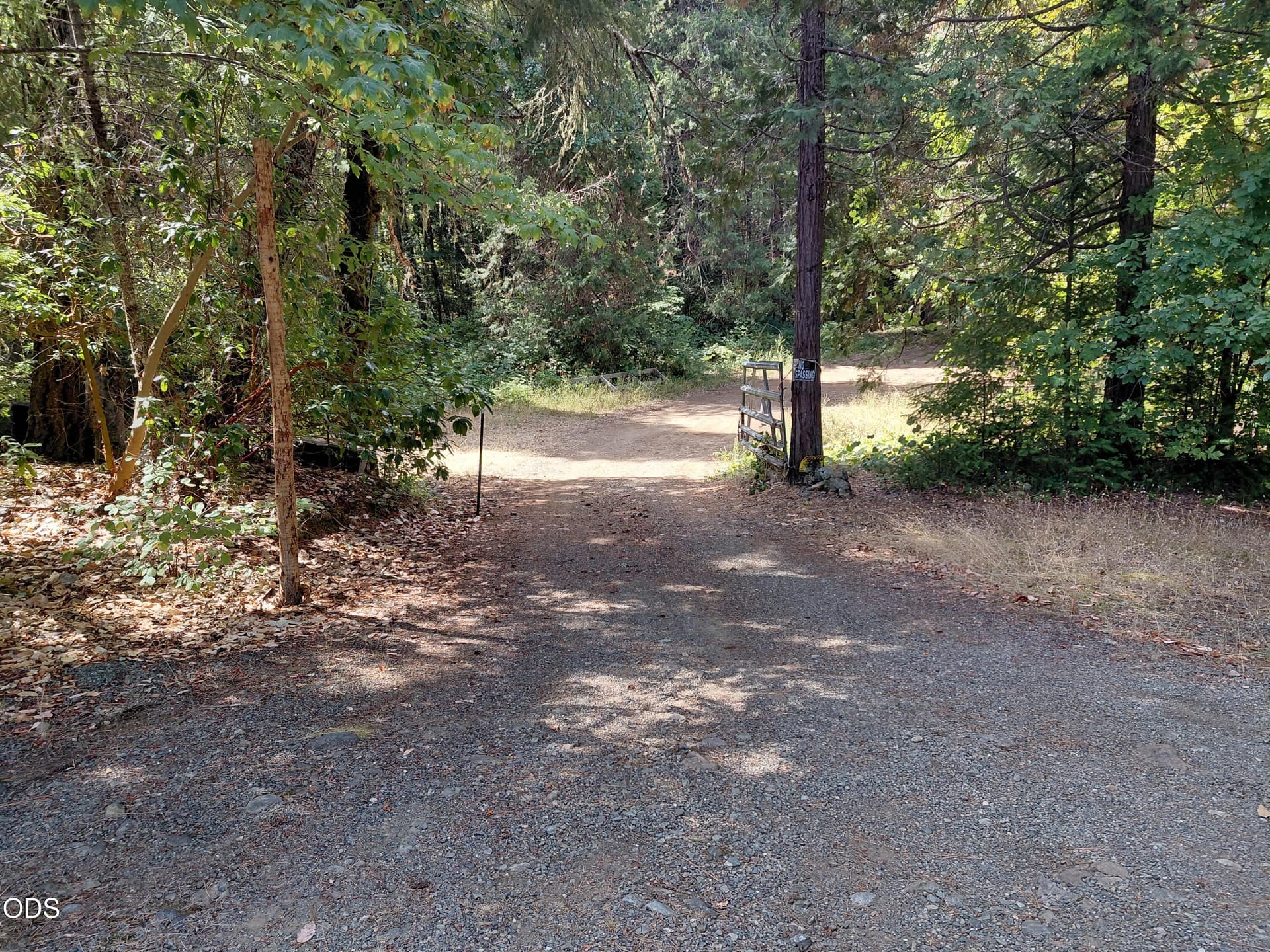 20260908_122352 - Copy. Photo 1 of 13, 8595 Deer Creek Road, Selma, OR 97538
