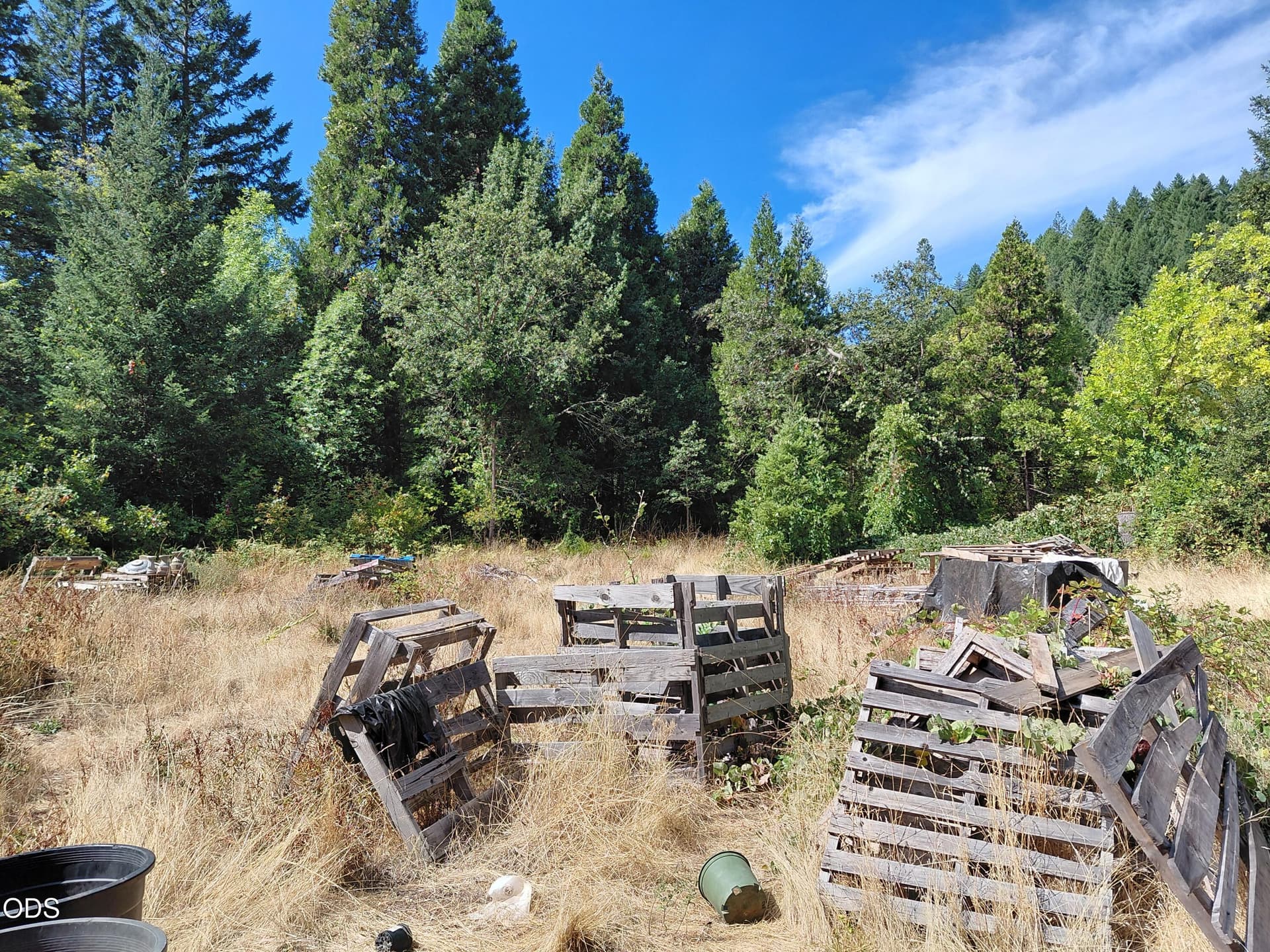 20260908_123219. Photo 2 of 13, 8595 Deer Creek Road, Selma, OR 97538