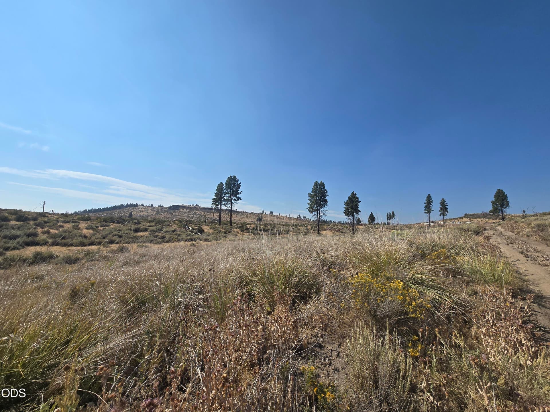 20260831_155153. Photo 2 of 5, Ram Road Unit 6, Chiloquin, OR 97624