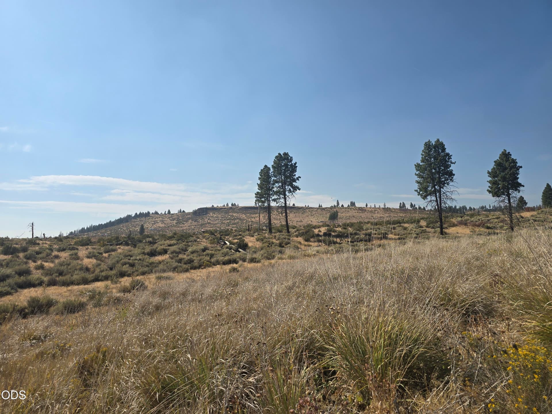 20260831_155201. Photo 3 of 5, Ram Road Unit 6, Chiloquin, OR 97624