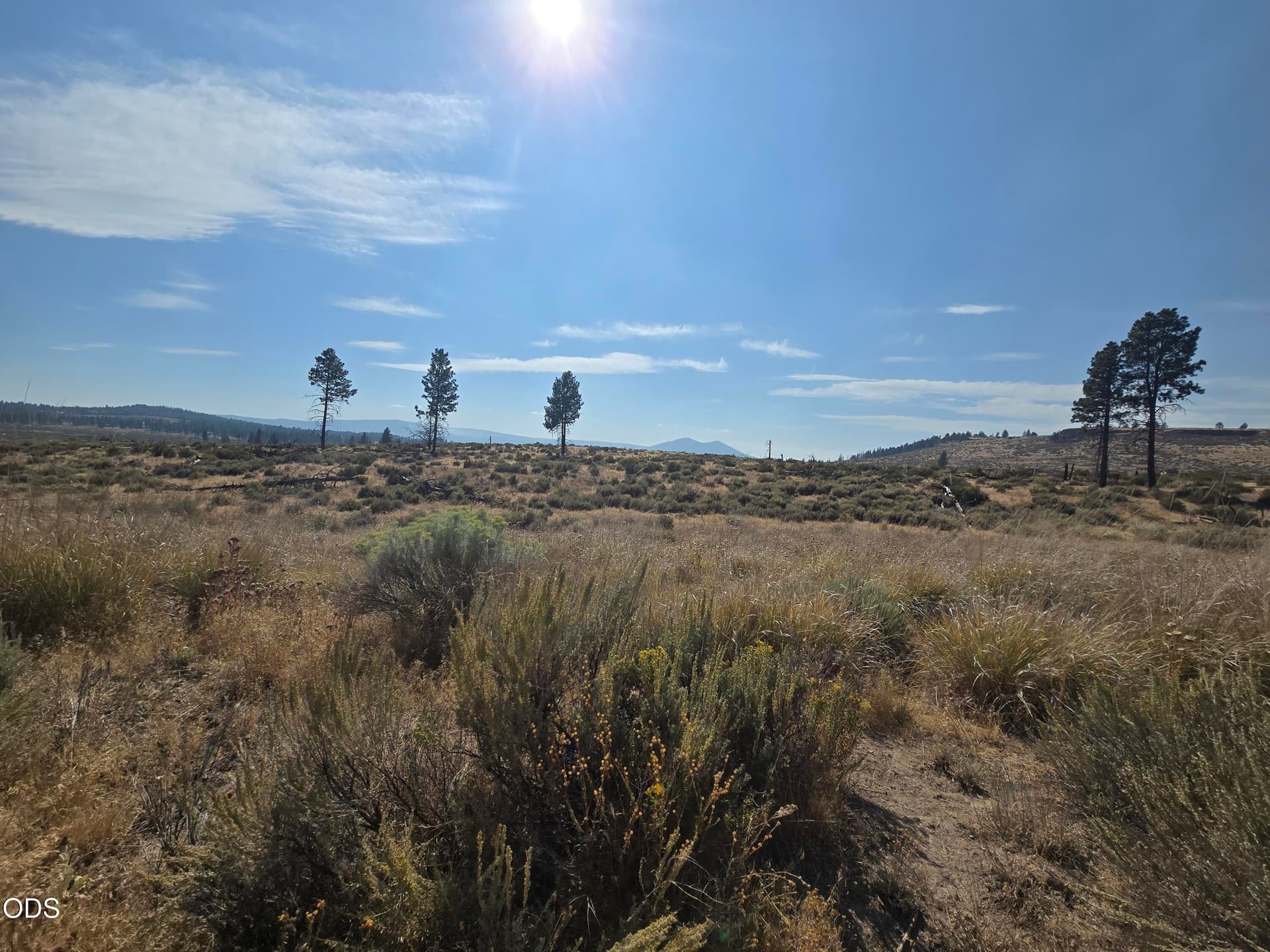 20260831_155710. Photo 4 of 5, Ram Road Unit 6, Chiloquin, OR 97624
