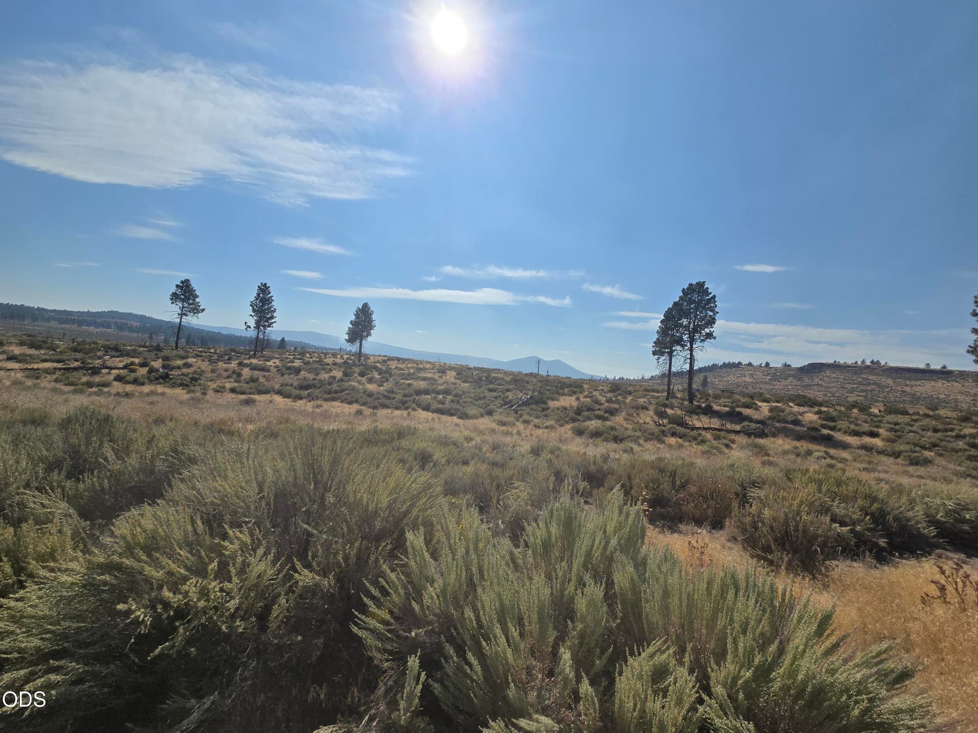 20260831_155726. Photo 5 of 5, Ram Road Unit 6, Chiloquin, OR 97624