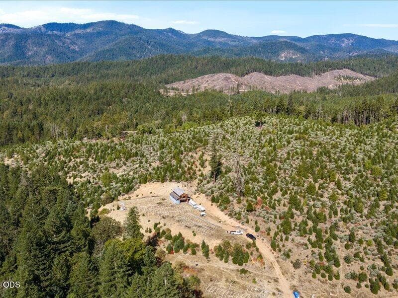 02-DJI_20260915104557_0004_D. Photo 2 of 15, 990 Indian Creek Road, Selma, OR 97538