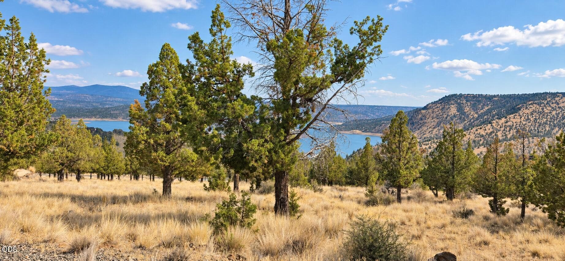 1. Photo 5 of 16, SE Davis Way Unit TL3900, Prineville, OR 97754