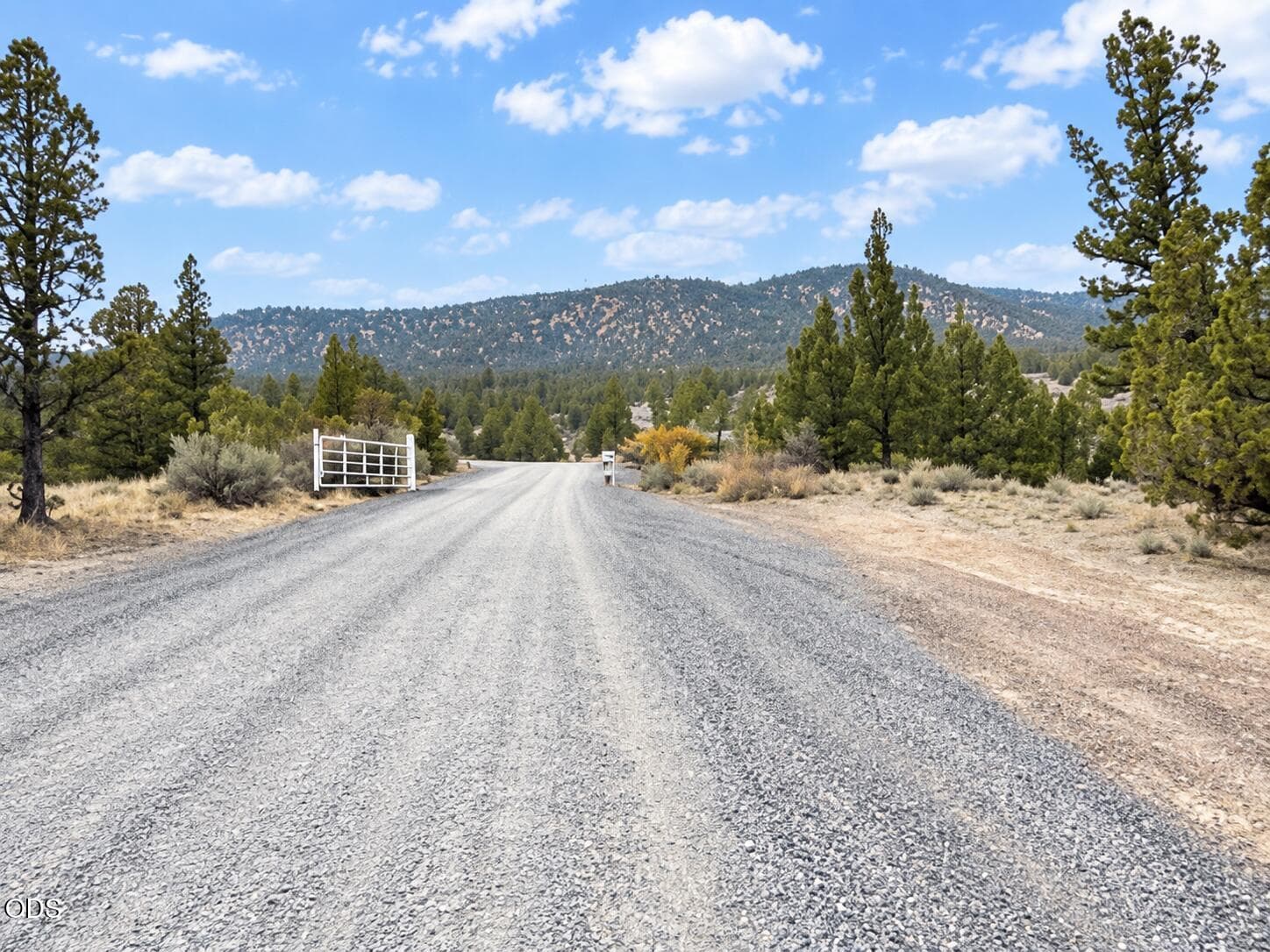 ChatGPT Image Sep 16, 2026, 02_20_25 PM. Photo 4 of 16, SE Davis Way Unit TL3900, Prineville, OR 97754