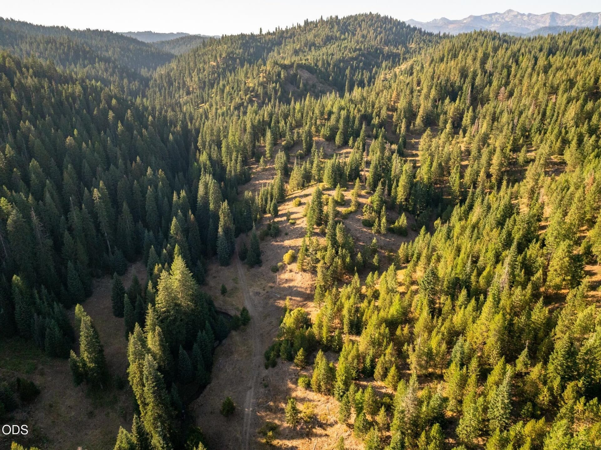 04-DJI_20260818183719_0557_D_under_15MB. Photo 5 of 6, 95377 E Goose Creek Road, Baker City, OR 97814