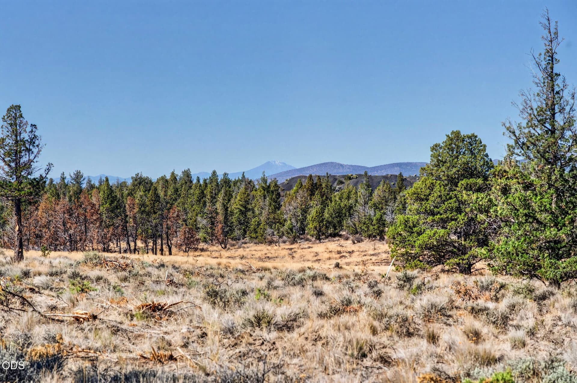 2026_08_10_se_laredo_road_lot137_jc-4. Photo 5 of 23, SE Laredo Road Unit Lot 137, Prineville, OR 97754