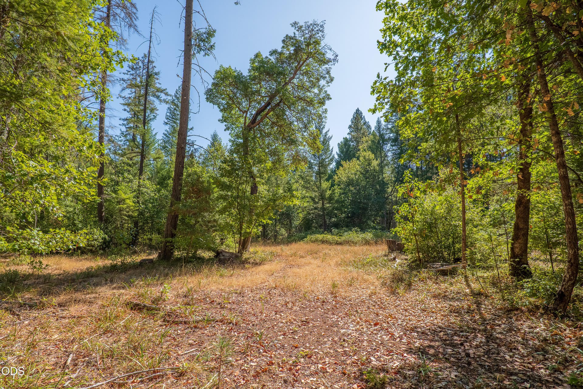 04. Photo 4 of 8, Rockydale Road, Cave Junction, OR 97523