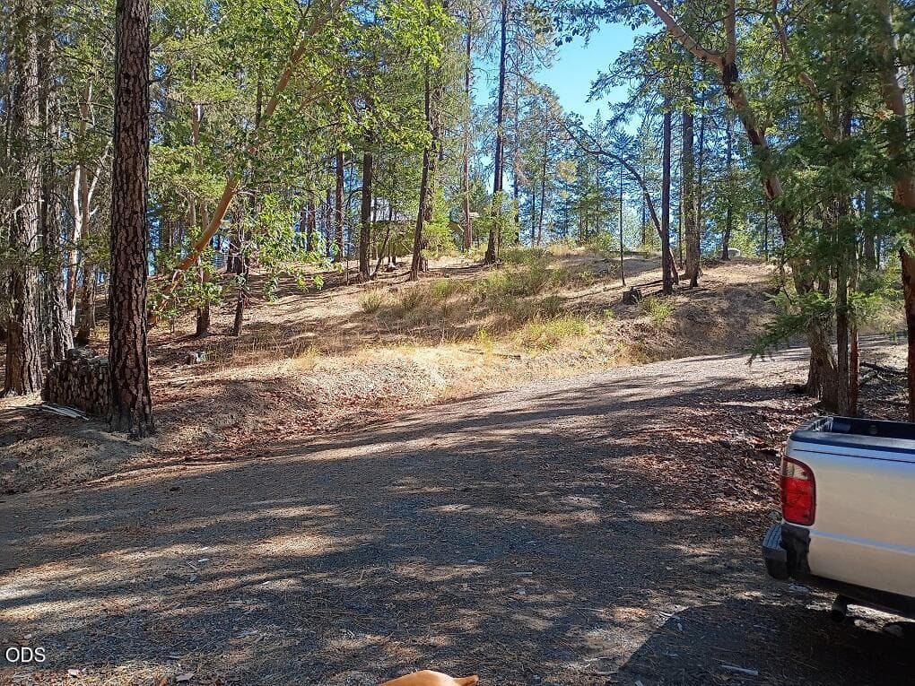 IMG_20260919_115009666. Photo 4 of 13, 1700 Tetherow Road, Williams, OR 97544