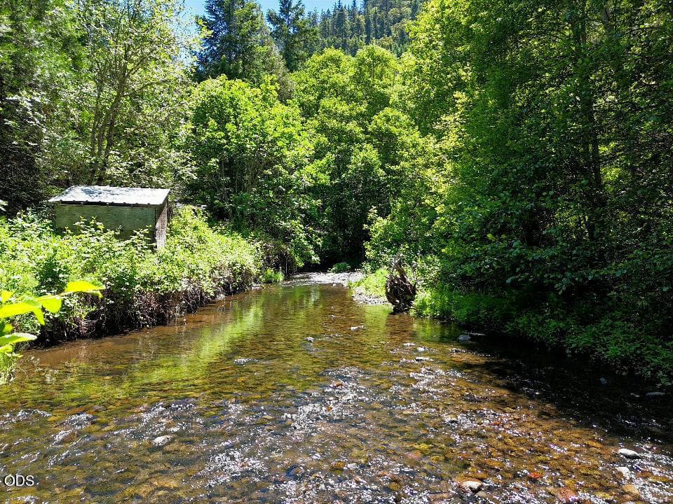 Shaded Creek Corridor. Photo 4 of 25, 12263 SF Little Butte Creek Road, Eagle Point, OR 97524