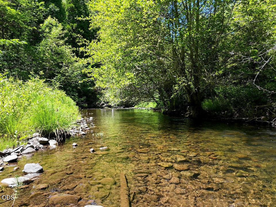 Clear South Fork Little Butte Creek. Photo 3 of 25, 12263 SF Little Butte Creek Road, Eagle Point, OR 97524
