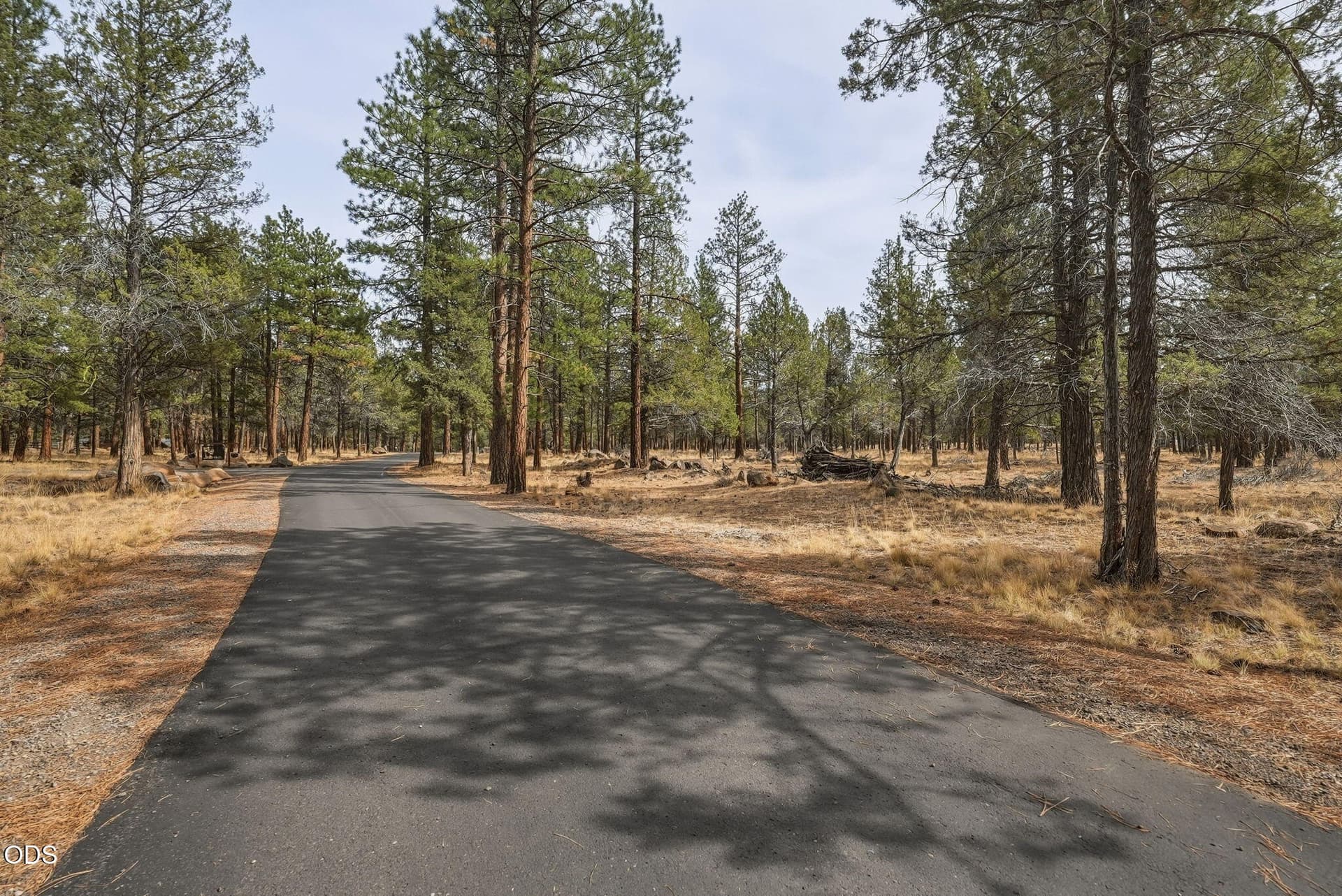21-web-or-mls-Riley-Visuals-21. Photo 3 of 11, 16541 Wren Lane, Sisters, OR 97759