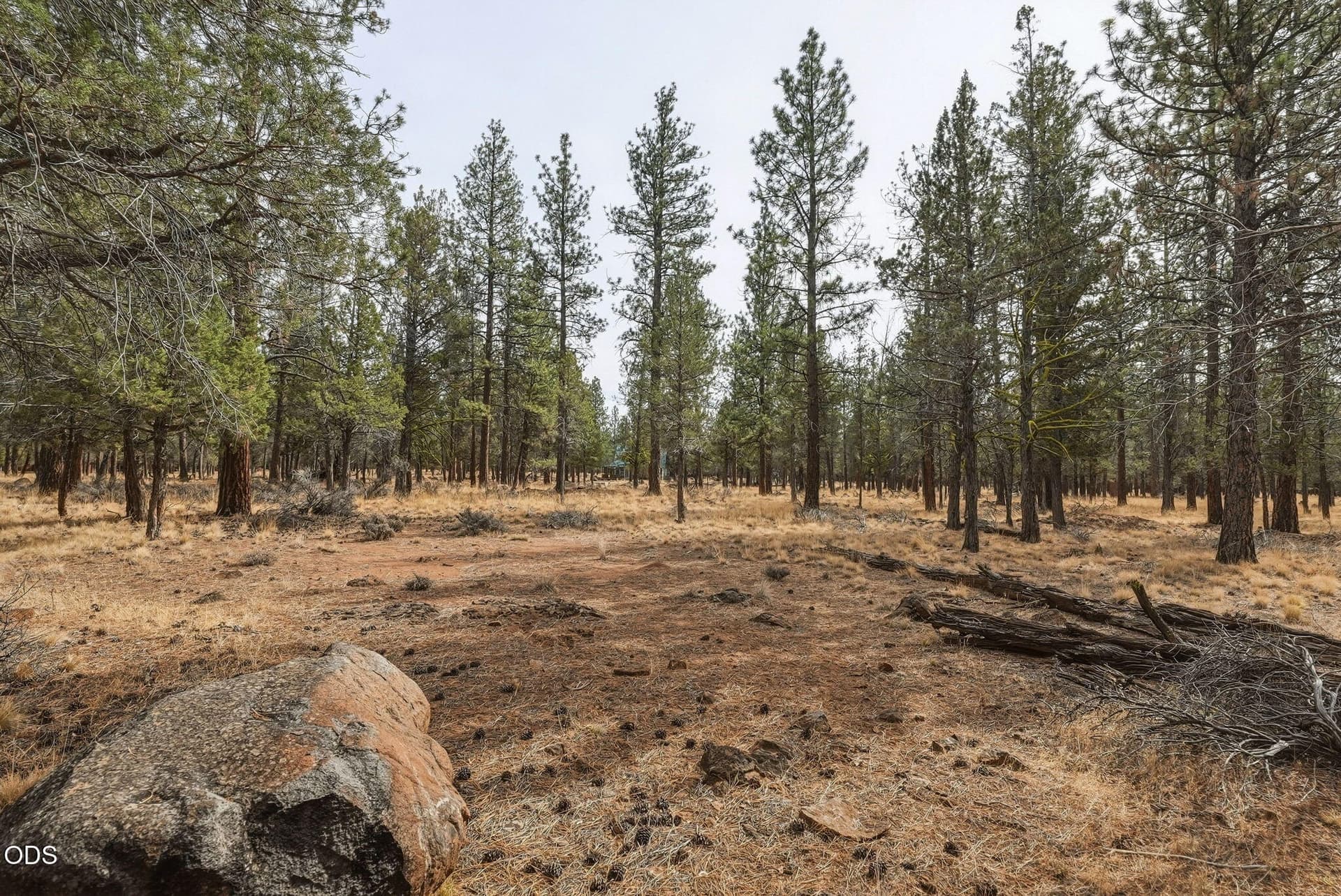 20-web-or-mls-Riley-Visuals-20. Photo 4 of 11, 16541 Wren Lane, Sisters, OR 97759