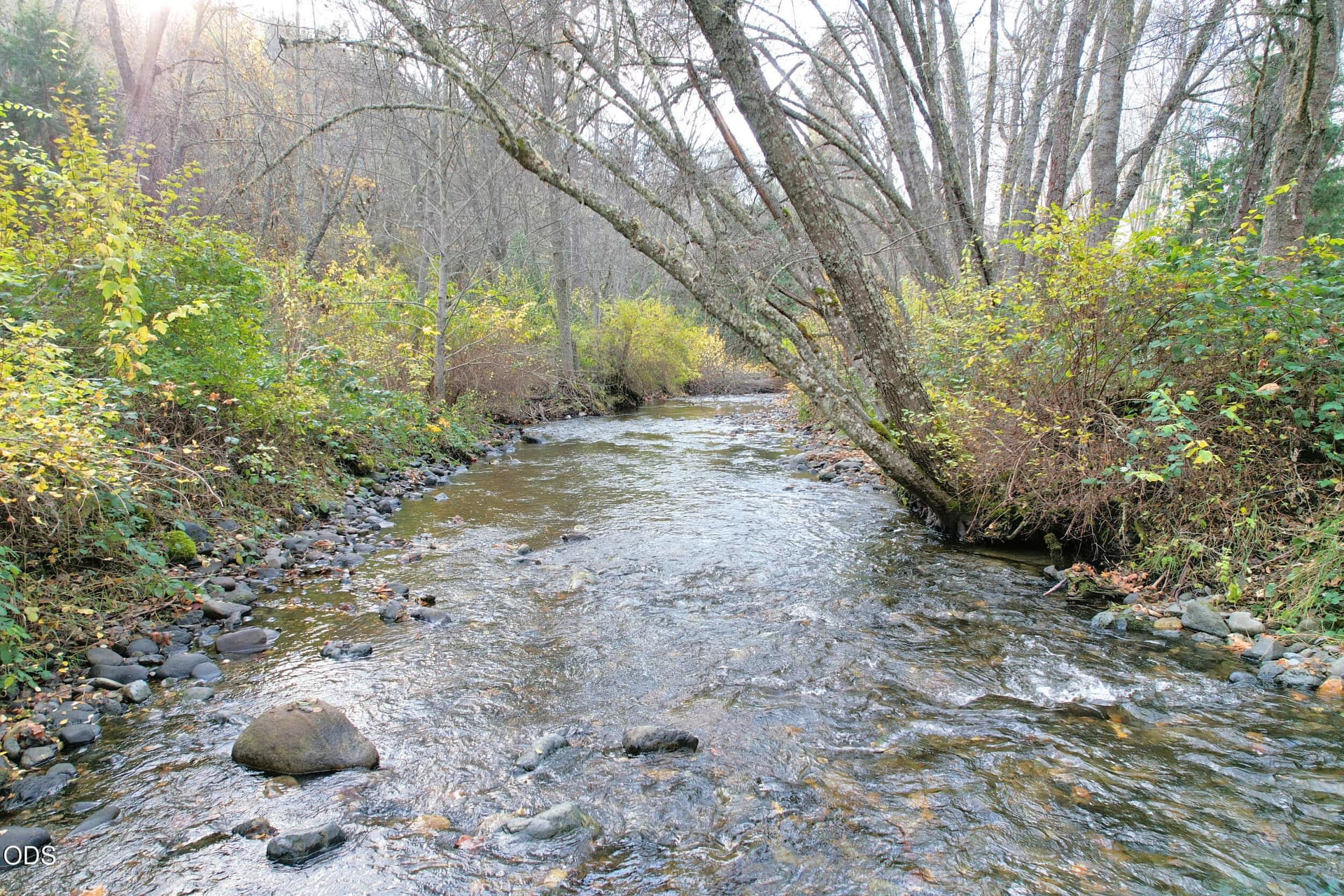Little Applegate River. Photo 5 of 102, 71 Yale Creek Road, Jacksonville, OR 97530