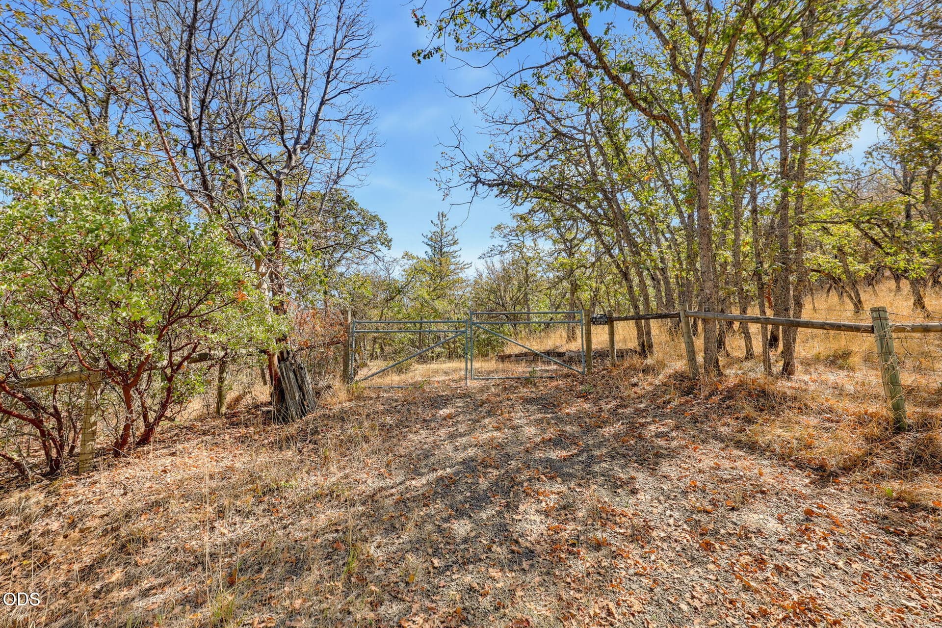 ApxLot00018. Photo 5 of 18, 0 Siskiyou Highway, Ashland, OR 97520