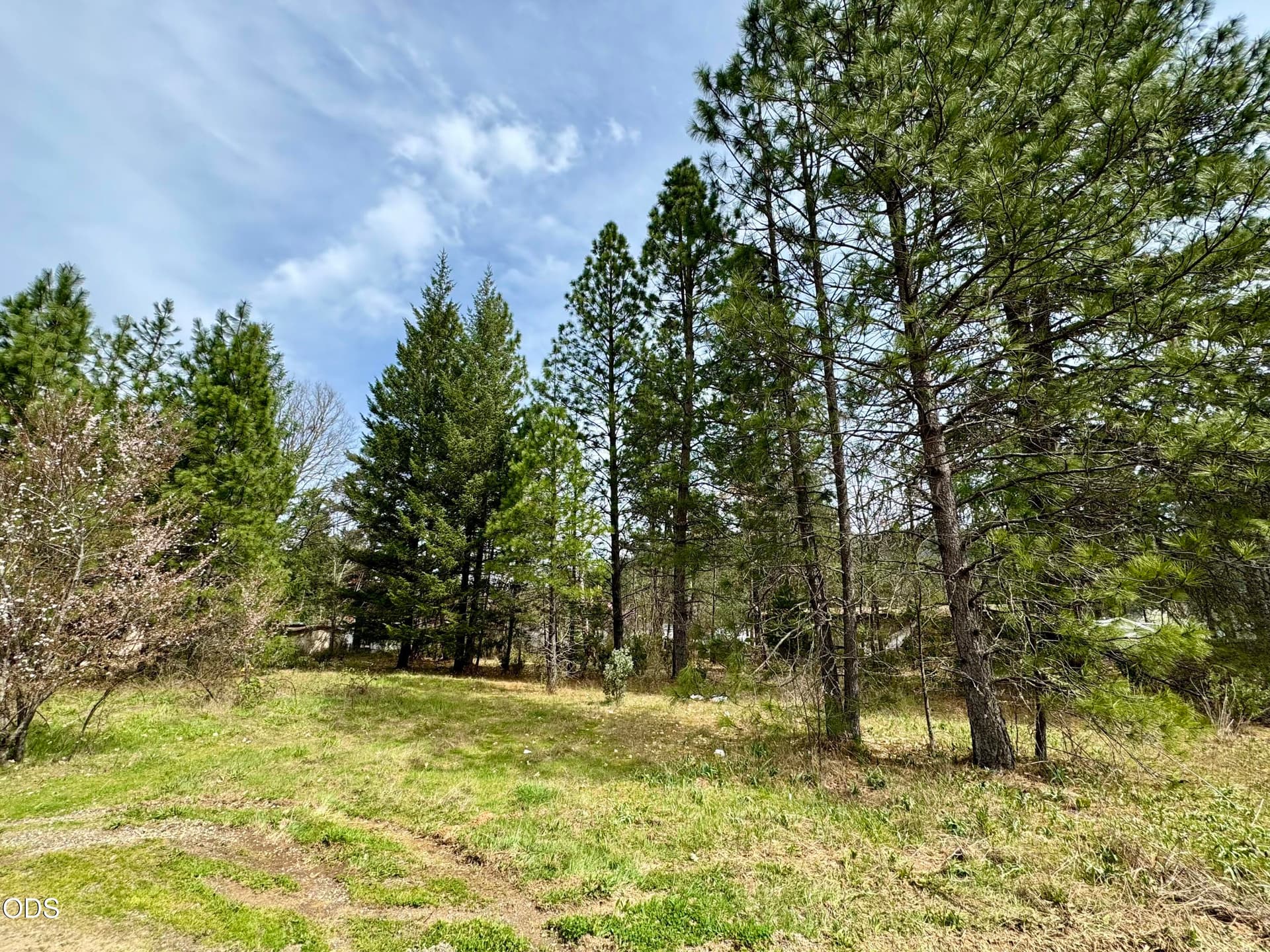 IMG_3505 4. Photo 1 of 4, 731 N Old Stage Road, Cave Junction, OR 97523