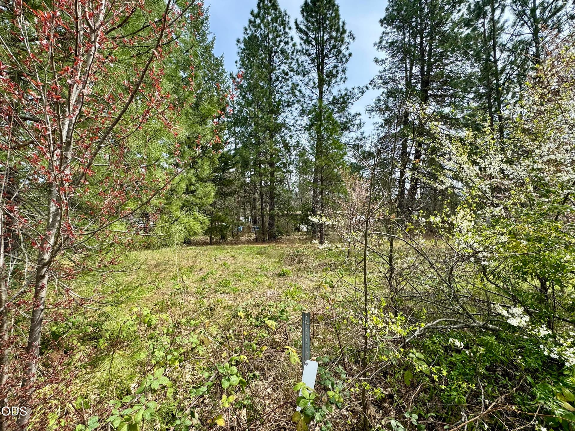IMG_3503 4. Photo 2 of 4, 731 N Old Stage Road, Cave Junction, OR 97523
