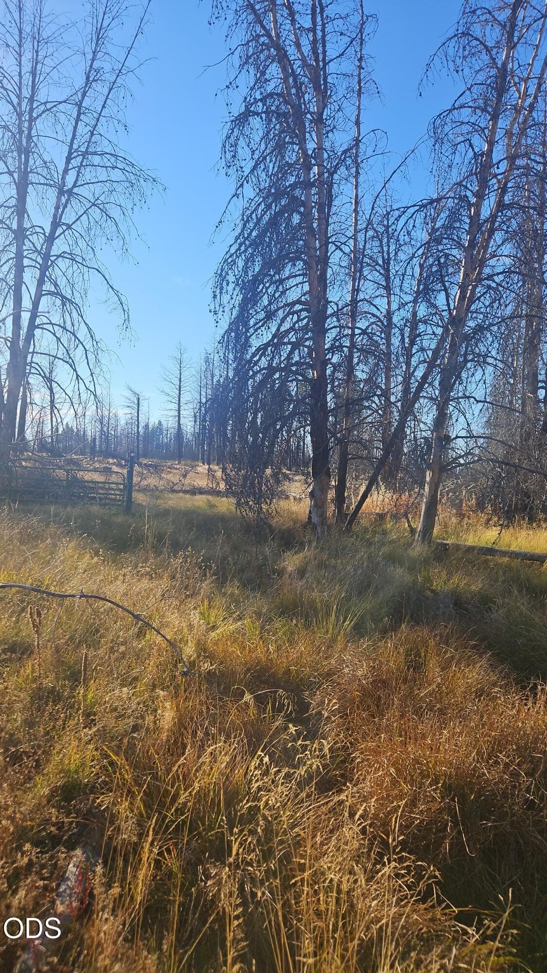 Snapchat-1576911. Photo 2 of 36, Valley Oak, Bly, OR 97622