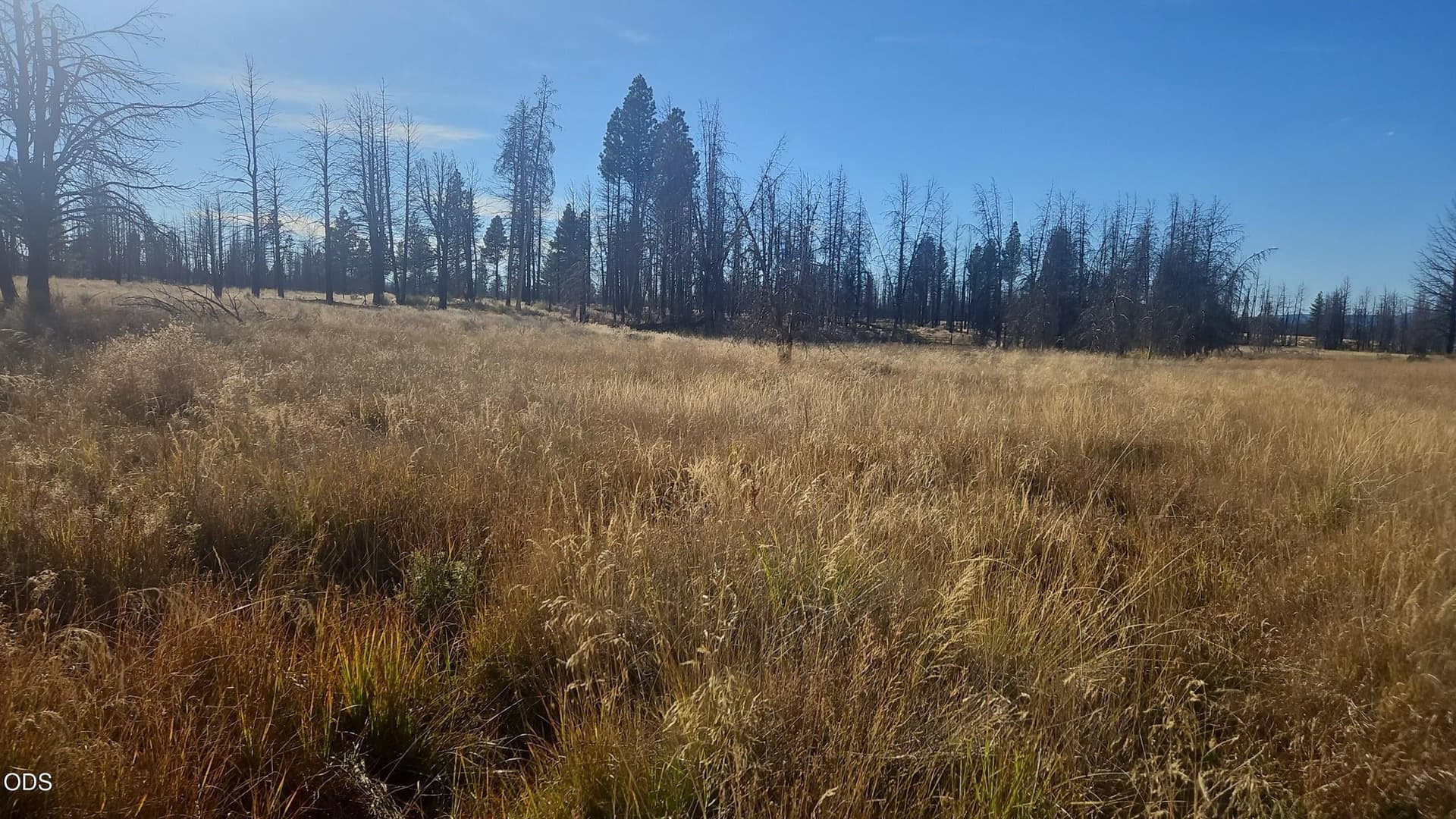 Snapchat-173829459. Photo 3 of 36, Valley Oak, Bly, OR 97622
