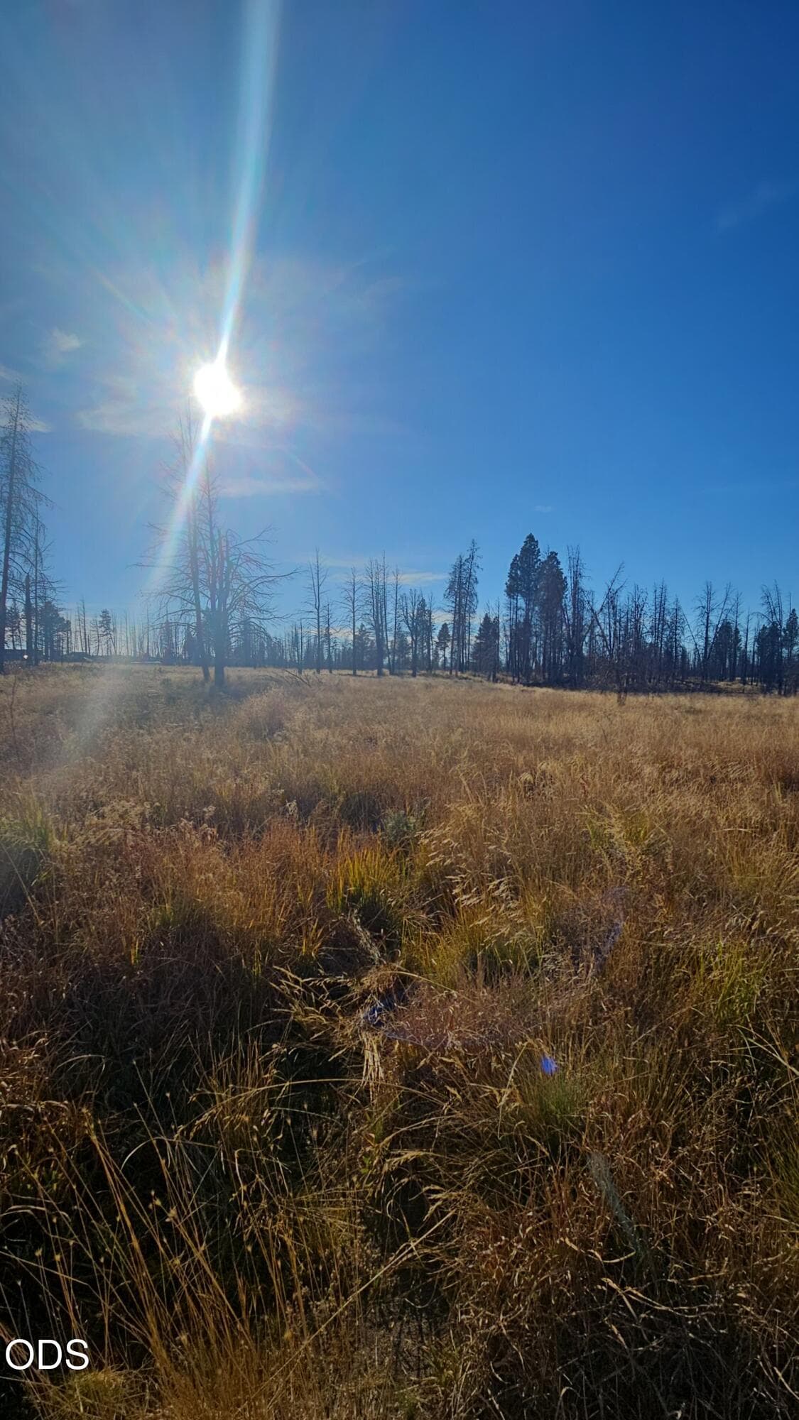 Snapchat-185434373. Photo 4 of 36, Valley Oak, Bly, OR 97622