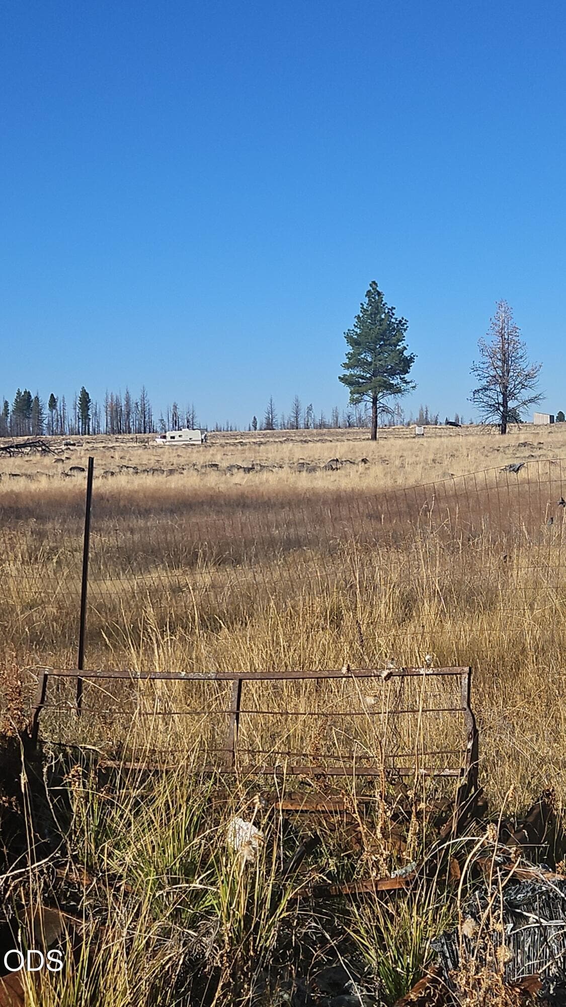 Snapchat-260834088. Photo 5 of 36, Valley Oak, Bly, OR 97622