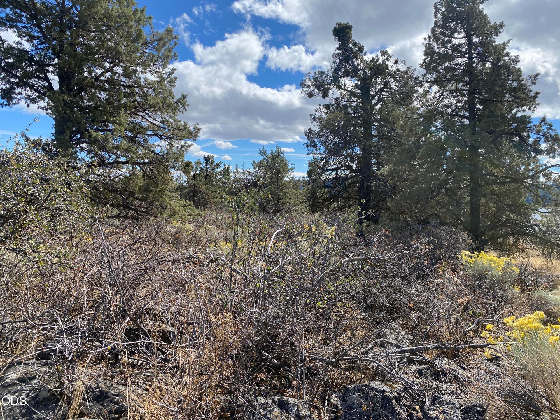 s5. Photo 5 of 26, 00000 Sunset Ridge Road, Klamath Falls, OR 97601