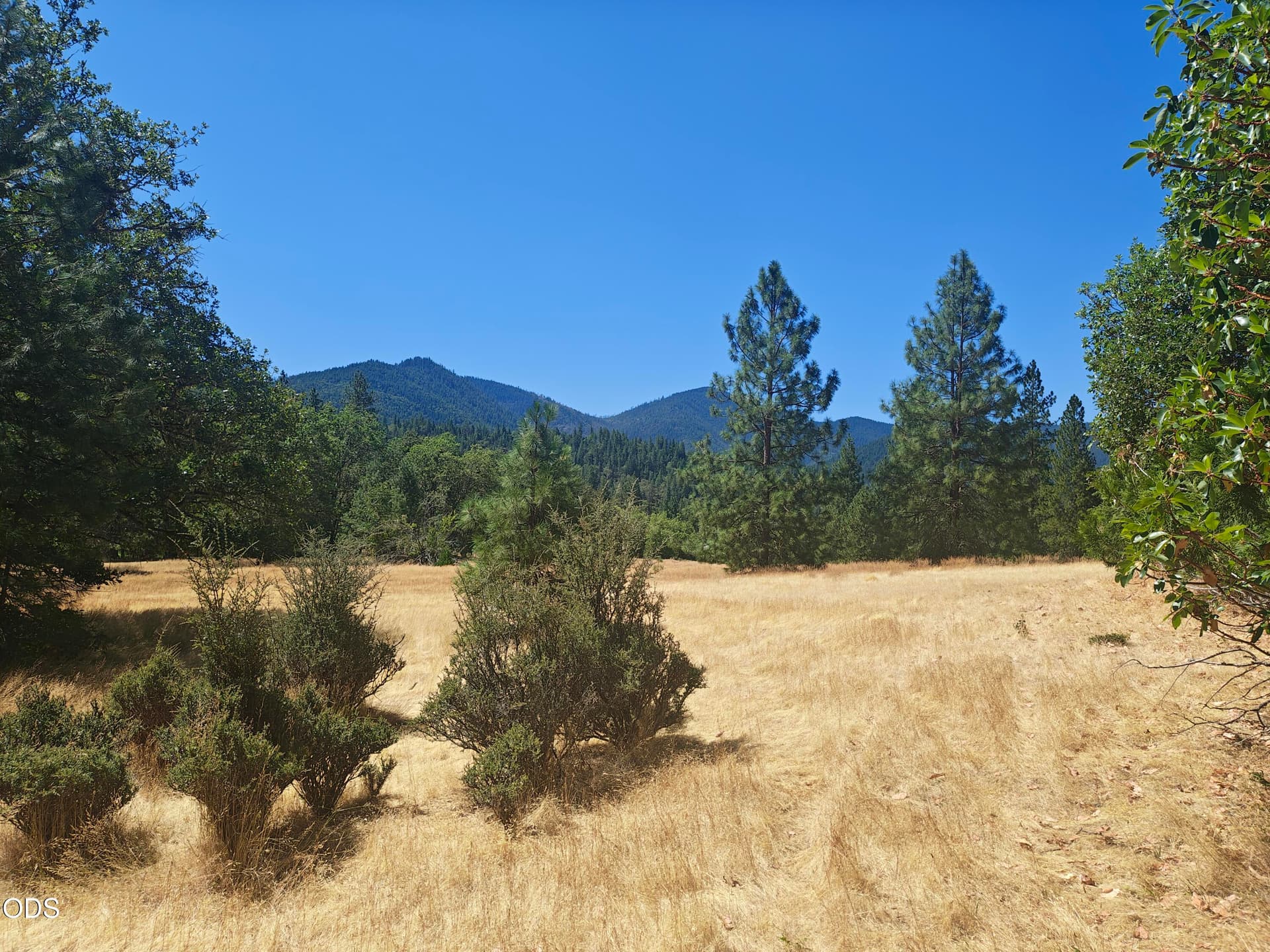 Ground-Level Mountain Views. Photo 5 of 21, 685 Bolt Mountain Road, Grants Pass, OR 97527