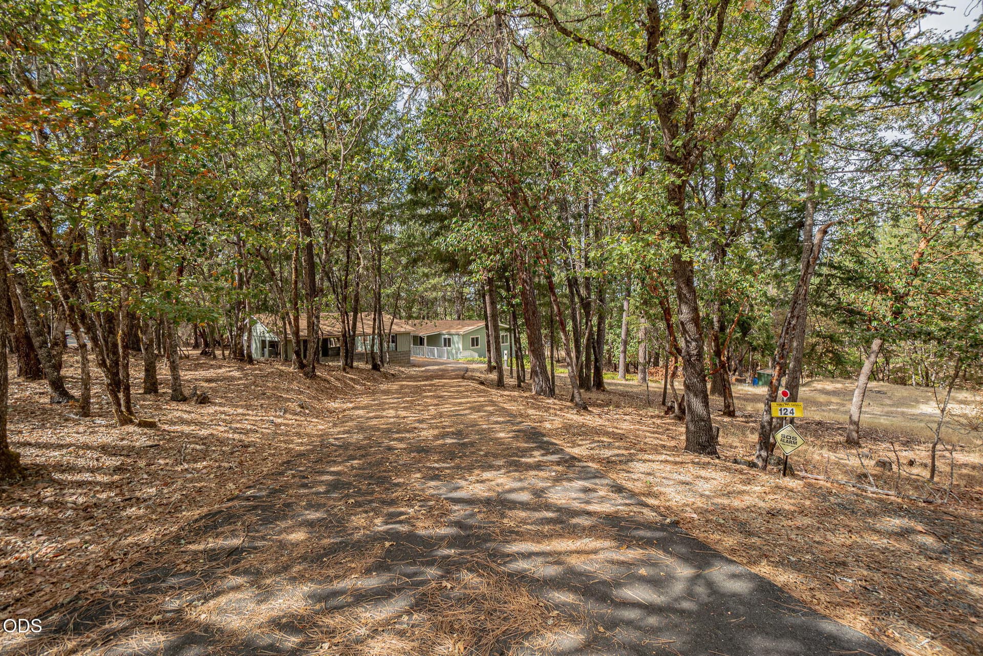4 Driveway Entrance on Dearing Way. Photo 4 of 35, 124 Dearing Way, Grants Pass, OR 97527