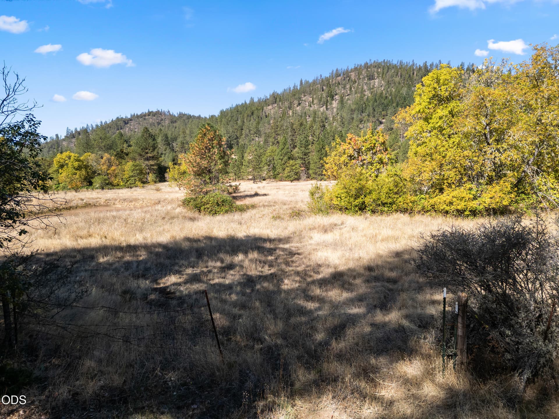 Open Meadow Setting. Photo 3 of 21, 685 Bolt Mountain Road, Grants Pass, OR 97527