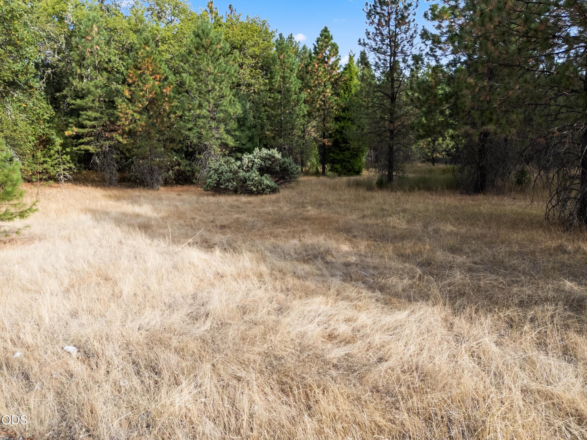 1000 lakeshore dr-drone-02. Photo 4 of 24, 0 Lakeshore Drive Unit TL#1000, Selma, OR 97538